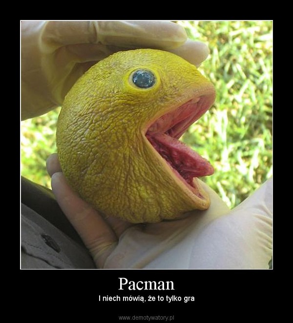 Pacman – I niech mówią, że to tylko gra 