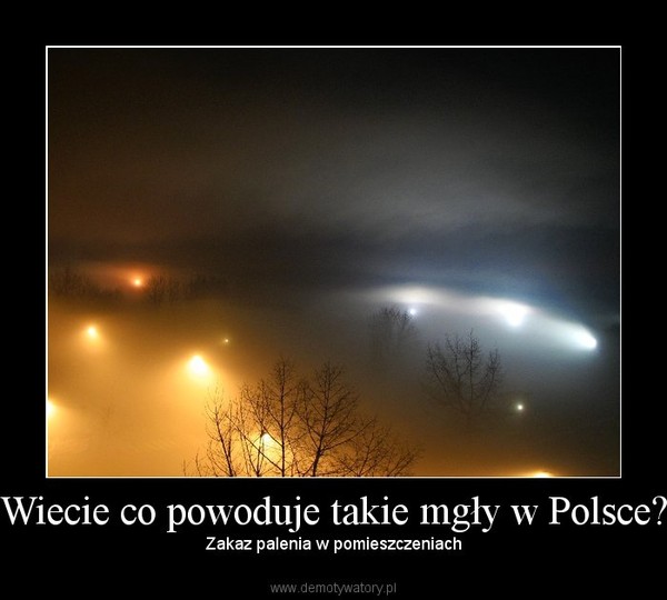 Wiecie co powoduje takie mgły w Polsce? – Zakaz palenia w pomieszczeniach 