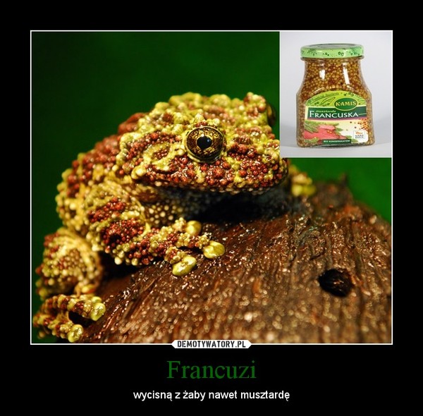 Francuzi – wycisną z żaby nawet musztardę 