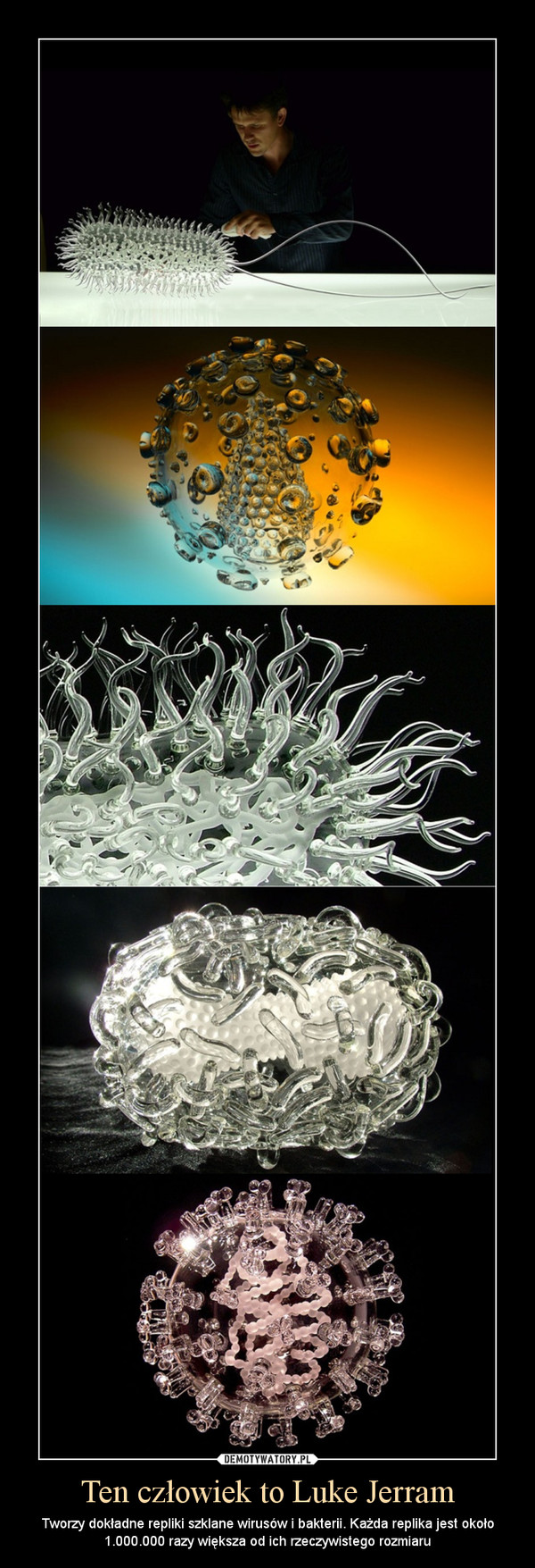 Ten człowiek to Luke Jerram – Tworzy dokładne repliki szklane wirusów i bakterii. Każda replika jest około 1.000.000 razy większa od ich rzeczywistego rozmiaru 