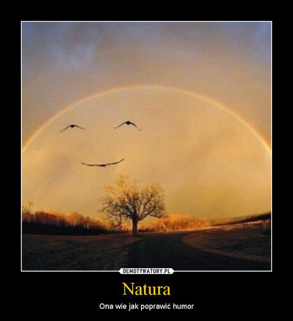 Natura – Ona wie jak poprawić humor 