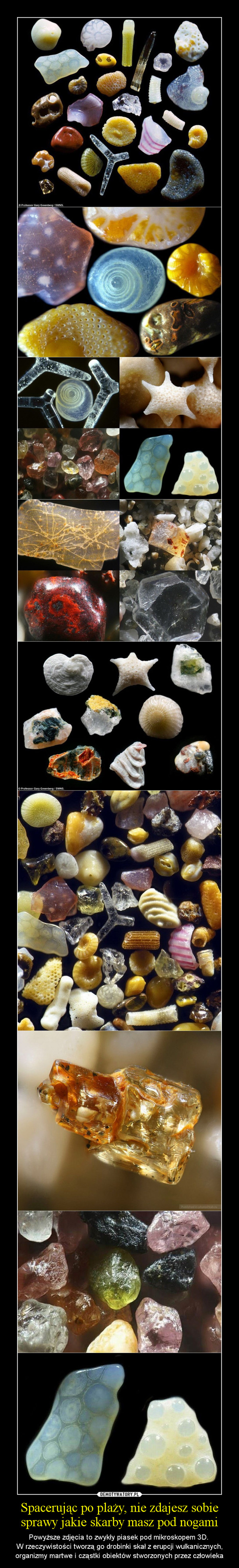 Spacerując po plaży, nie zdajesz sobie sprawy jakie skarby masz pod nogami – Powyższe zdjęcia to zwykły piasek pod mikroskopem 3D. W rzeczywistości tworzą go drobinki skał z erupcji wulkanicznych, organizmy martwe i cząstki obiektów stworzonych przez człowieka 