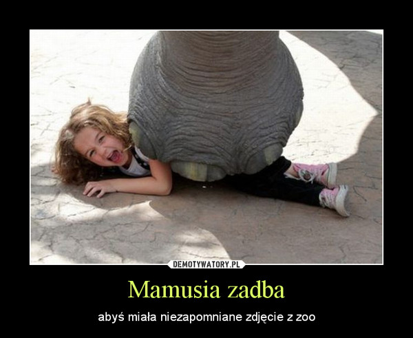 Mamusia zadba – abyś miała niezapomniane zdjęcie z zoo 
