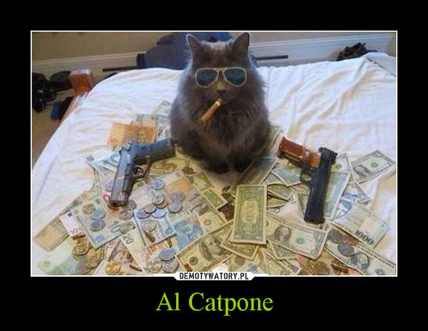 Al Catpone