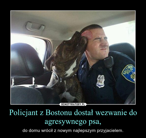 Policjant z Bostonu dostał wezwanie do agresywnego psa,