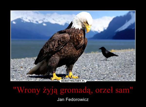 "Wrony żyją gromadą, orzeł sam" – Jan Fedorowicz 