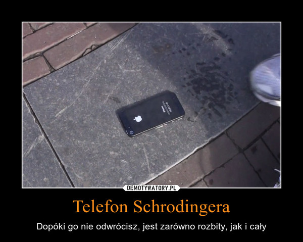 Telefon Schrodingera – Dopóki go nie odwrócisz, jest zarówno rozbity, jak i cały 