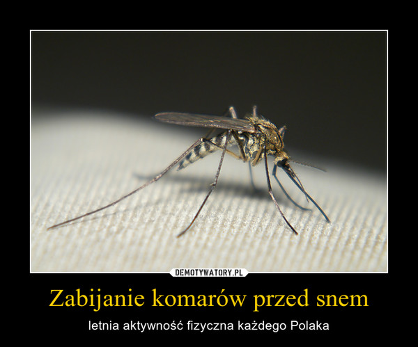 Zabijanie komarów przed snem – letnia aktywność fizyczna każdego Polaka 