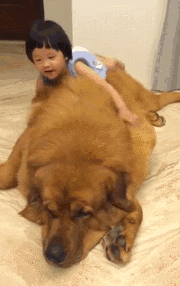 I kto mówi, że wielkie psy są niebezpieczne? –  