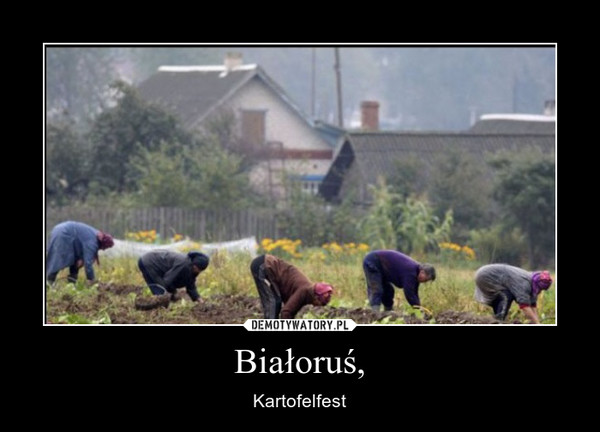 Białoruś, – Kartofelfest 