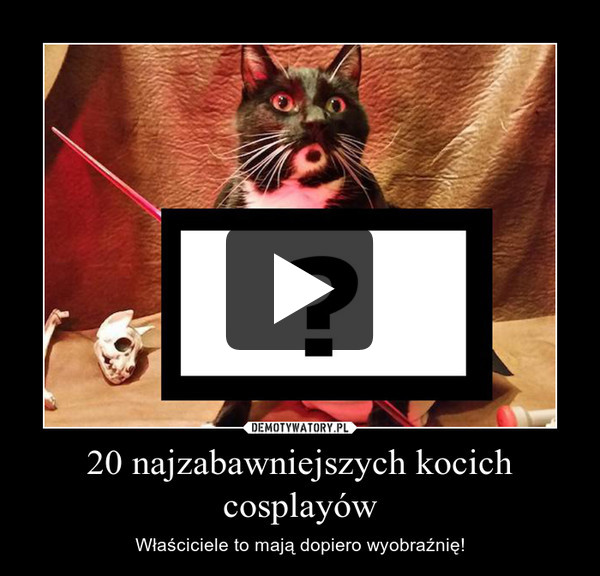 20 najzabawniejszych kocich cosplayów – Właściciele to mają dopiero wyobraźnię! 