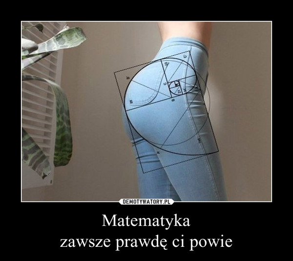 Matematyka zawsze prawdę ci powie – Demotywatory.pl