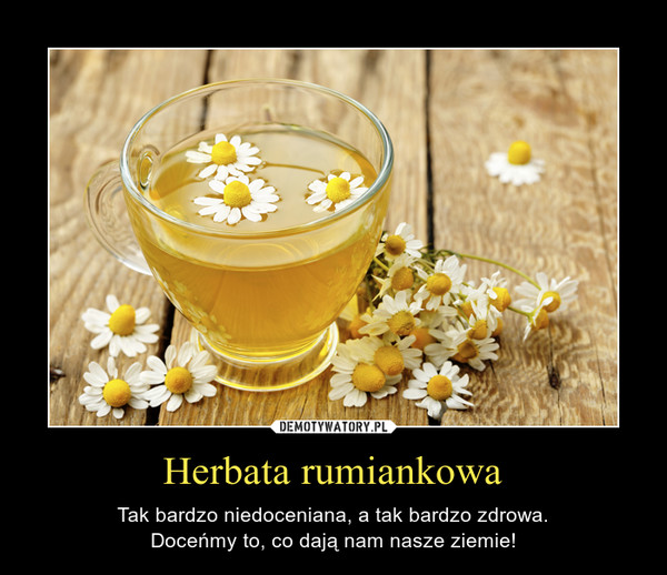 Herbata rumiankowa – Tak bardzo niedoceniana, a tak bardzo zdrowa.Doceńmy to, co dają nam nasze ziemie! 