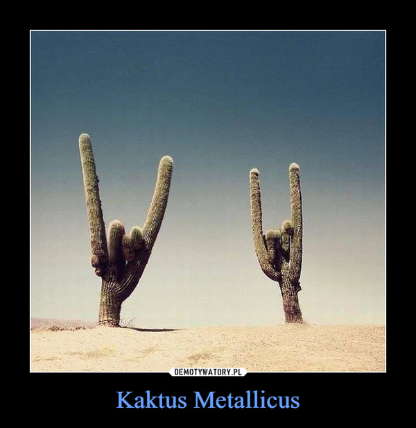 Kaktus Metallicus –  