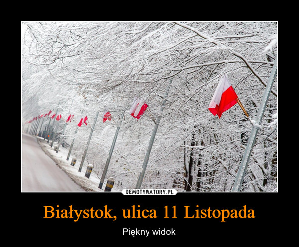 Białystok, ulica 11 Listopada – Piękny widok 