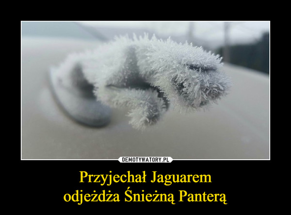 Przyjechał Jaguarem
odjeżdża Śnieżną Panterą