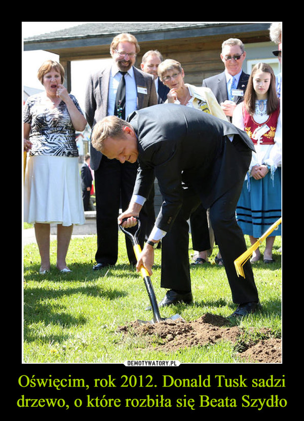Oświęcim, rok 2012. Donald Tusk sadzi drzewo, o które rozbiła się Beata Szydło