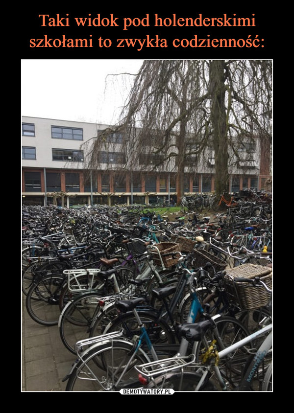 Taki widok pod holenderskimi szkołami to zwykła codzienność:
