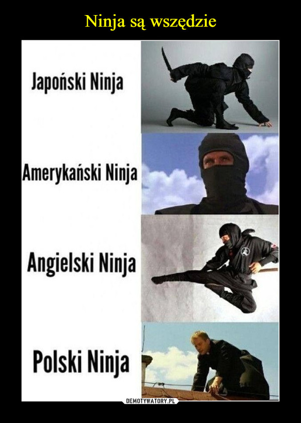 Ninja są wszędzie