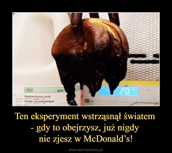 Ten eksperyment wstrząsnął światem - gdy to obejrzysz, już nigdy nie zjesz w McDonald’s! –  