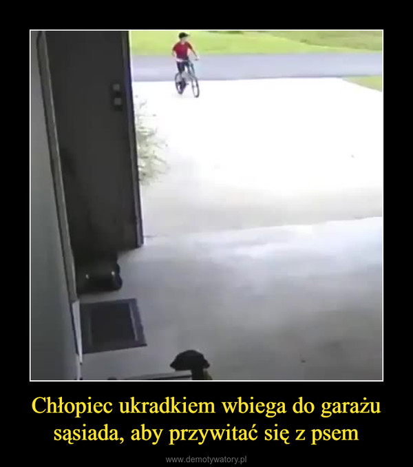 Chłopiec ukradkiem wbiega do garażu sąsiada, aby przywitać się z psem –  