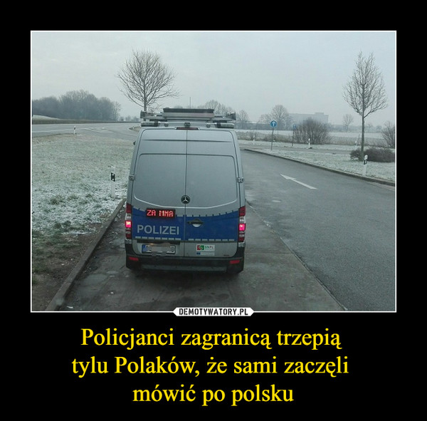 Policjanci zagranicą trzepią tylu Polaków, że sami zaczęli mówić po polsku –  