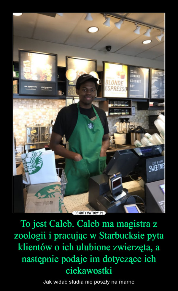 To jest Caleb. Caleb ma magistra z zoologii i pracując w Starbucksie pyta klientów o ich ulubione zwierzęta, a następnie podaje im dotyczące ich ciekawostki – Jak widać studia nie poszły na marne 