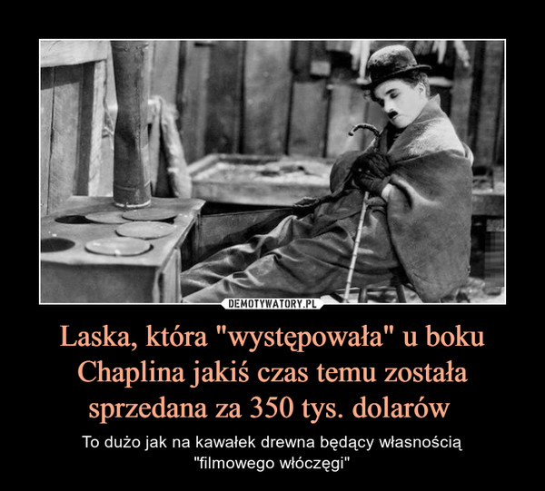 Laska, która "występowała" u boku Chaplina jakiś czas temu została sprzedana za 350 tys. dolarów  – To dużo jak na kawałek drewna będący własnością"filmowego włóczęgi" 