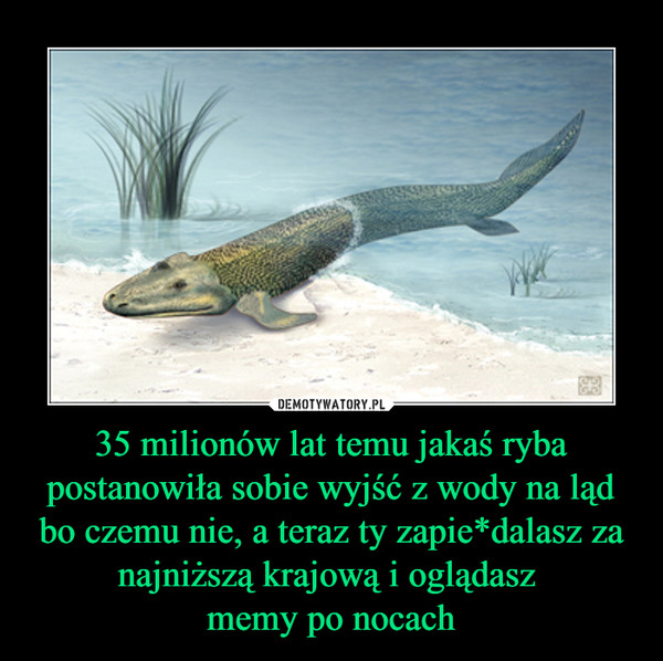 35 milionów lat temu jakaś ryba postanowiła sobie wyjść z wody na ląd bo czemu nie, a teraz ty zapie*dalasz za najniższą krajową i oglądasz memy po nocach –  
