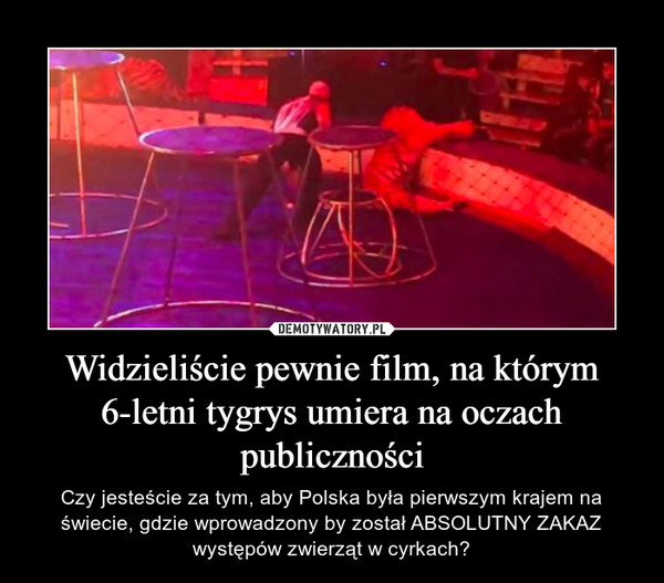 Widzieliście pewnie film, na którym 6-letni tygrys umiera na oczach publiczności – Czy jesteście za tym, aby Polska była pierwszym krajem na świecie, gdzie wprowadzony by został ABSOLUTNY ZAKAZ występów zwierząt w cyrkach? 