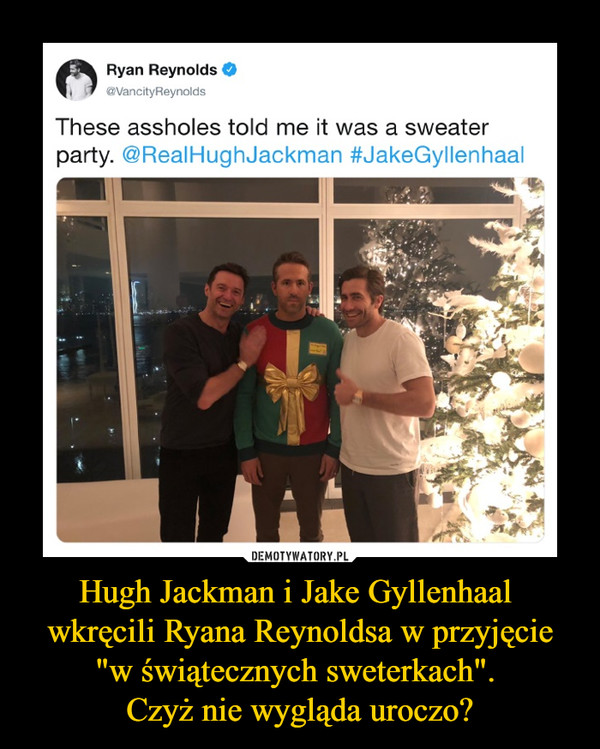 Hugh Jackman i Jake Gyllenhaal wkręcili Ryana Reynoldsa w przyjęcie "w świątecznych sweterkach". Czyż nie wygląda uroczo? –  Ryan Reynolds 	@VancityReynolds 	These assholes told me it was a sweater 	party. @RealHughJackman #JakeGylIenhaal