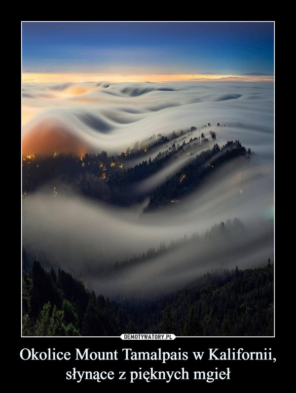 Okolice Mount Tamalpais w Kalifornii, słynące z pięknych mgieł –  
