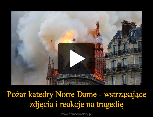 Pożar katedry Notre Dame - wstrząsające zdjęcia i reakcje na tragedię –  