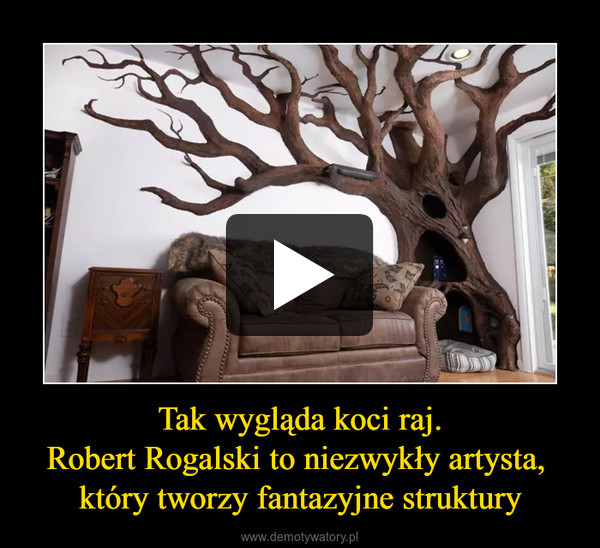 Tak wygląda koci raj.Robert Rogalski to niezwykły artysta, który tworzy fantazyjne struktury –  