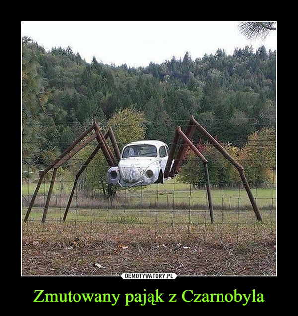 Zmutowany pająk z Czarnobyla –  