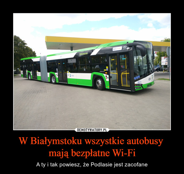 W Białymstoku wszystkie autobusy mają bezpłatne Wi-Fi – A ty i tak powiesz, że Podlasie jest zacofane 