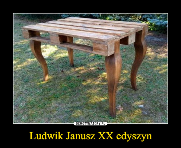 Ludwik Janusz XX edyszyn –  