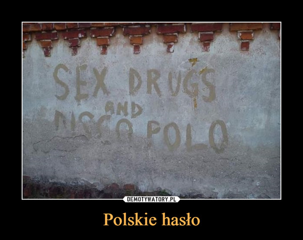 Polskie hasło –  SEX DRUGS AND DISCO POLO