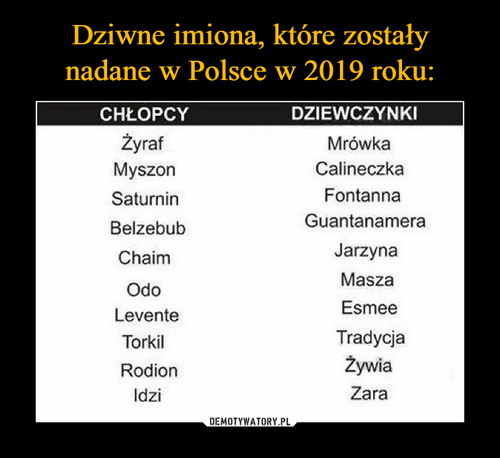 Dziwne imiona, które zostały
nadane w Polsce w 2019 roku: