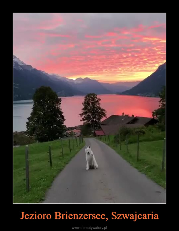 Jezioro Brienzersee, Szwajcaria –  