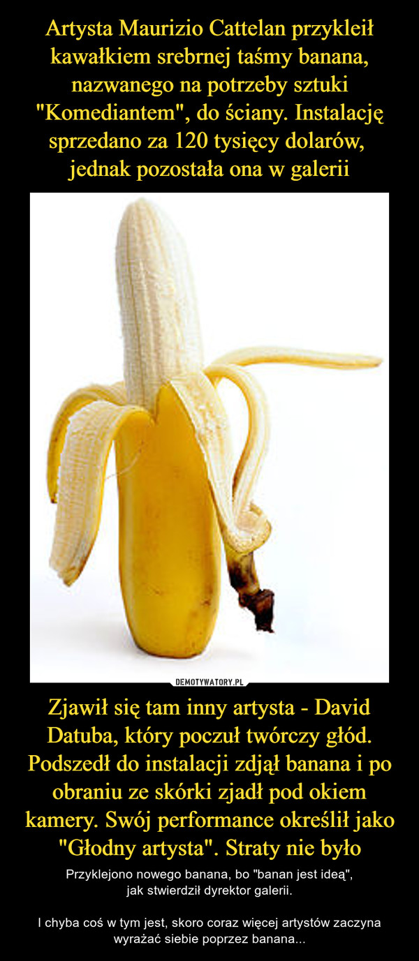 Artysta Maurizio Cattelan przykleił kawałkiem srebrnej taśmy banana, nazwanego na potrzeby sztuki "Komediantem", do ściany. Instalację sprzedano za 120 tysięcy dolarów, 
jednak pozostała ona w galerii Zjawił się tam inny artysta - David Datuba, który poczuł twórczy głód. Podszedł do instalacji zdjął banana i po obraniu ze skórki zjadł pod okiem kamery. Swój performance określił jako "Głodny artysta". Straty nie było