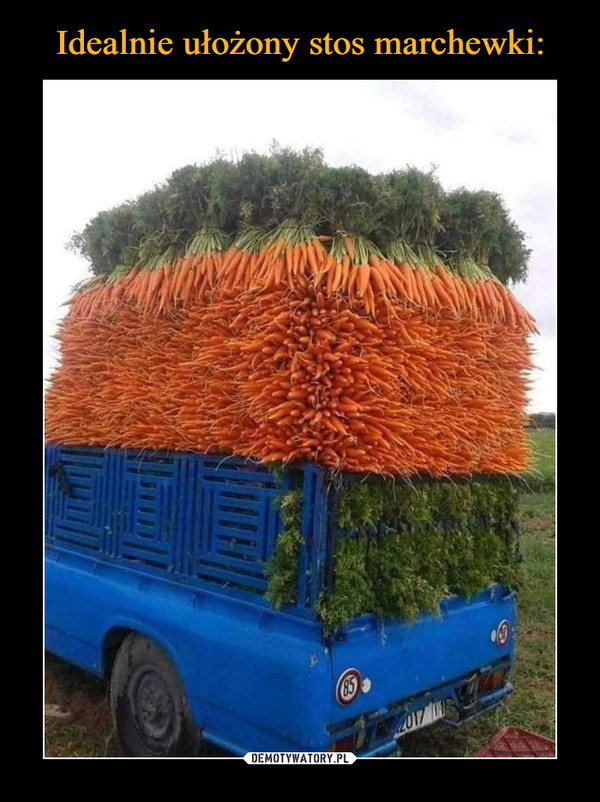 Idealnie ułożony stos marchewki: