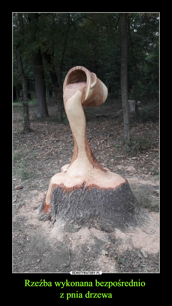 Rzeźba wykonana bezpośrednio z pnia drzewa –  