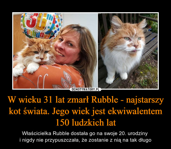 W wieku 31 lat zmarł Rubble - najstarszy kot świata. Jego wiek jest ekwiwalentem 150 ludzkich lat – Właścicielka Rubble dostała go na swoje 20. urodziny i nigdy nie przypuszczała, że zostanie z nią na tak długo 