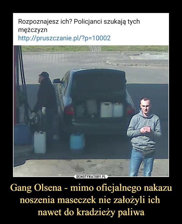 Gang Olsena - mimo oficjalnego nakazu noszenia maseczek nie założyli ich 
nawet do kradzieży paliwa