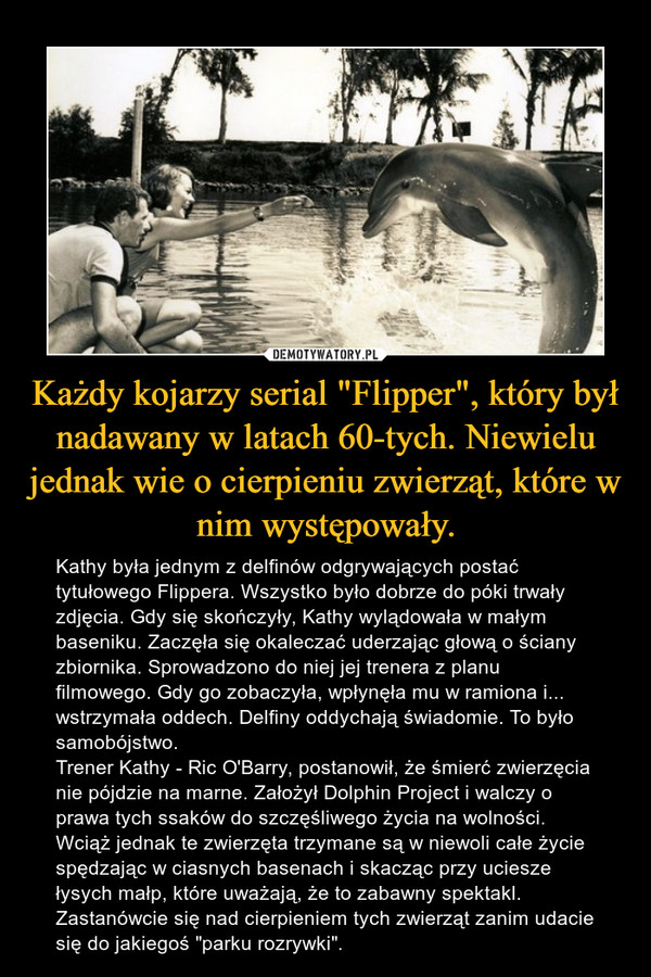 Każdy kojarzy serial "Flipper", który był nadawany w latach 60-tych. Niewielu jednak wie o cierpieniu zwierząt, które w nim występowały.