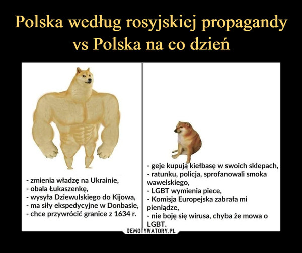 Polska według rosyjskiej propagandy vs Polska na co dzień