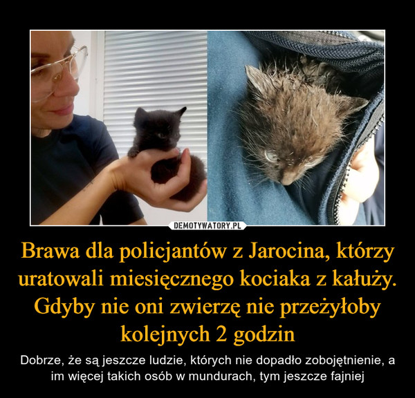Brawa dla policjantów z Jarocina, którzy uratowali miesięcznego kociaka z kałuży. Gdyby nie oni zwierzę nie przeżyłoby kolejnych 2 godzin – Dobrze, że są jeszcze ludzie, których nie dopadło zobojętnienie, a im więcej takich osób w mundurach, tym jeszcze fajniej 