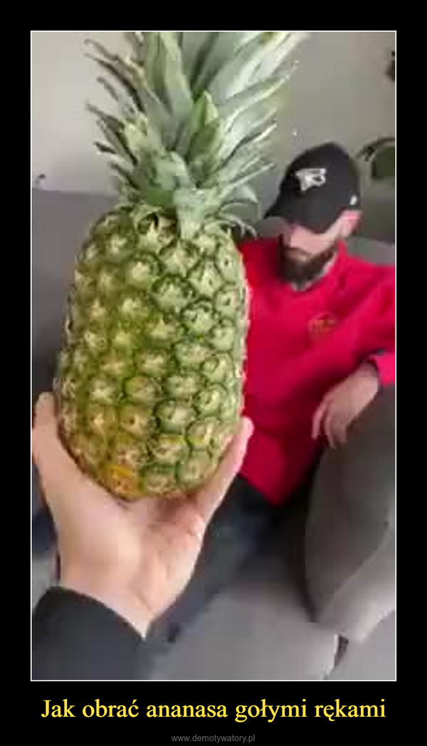 Jak obrać ananasa gołymi rękami –  