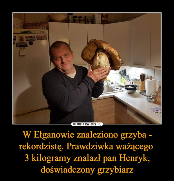 W Ełganowie znaleziono grzyba - rekordzistę. Prawdziwka ważącego 
3 kilogramy znalazł pan Henryk, doświadczony grzybiarz